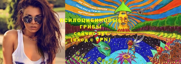 трава Алексин