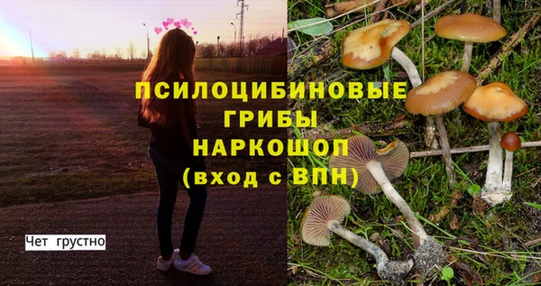 амфетамин Алексеевка