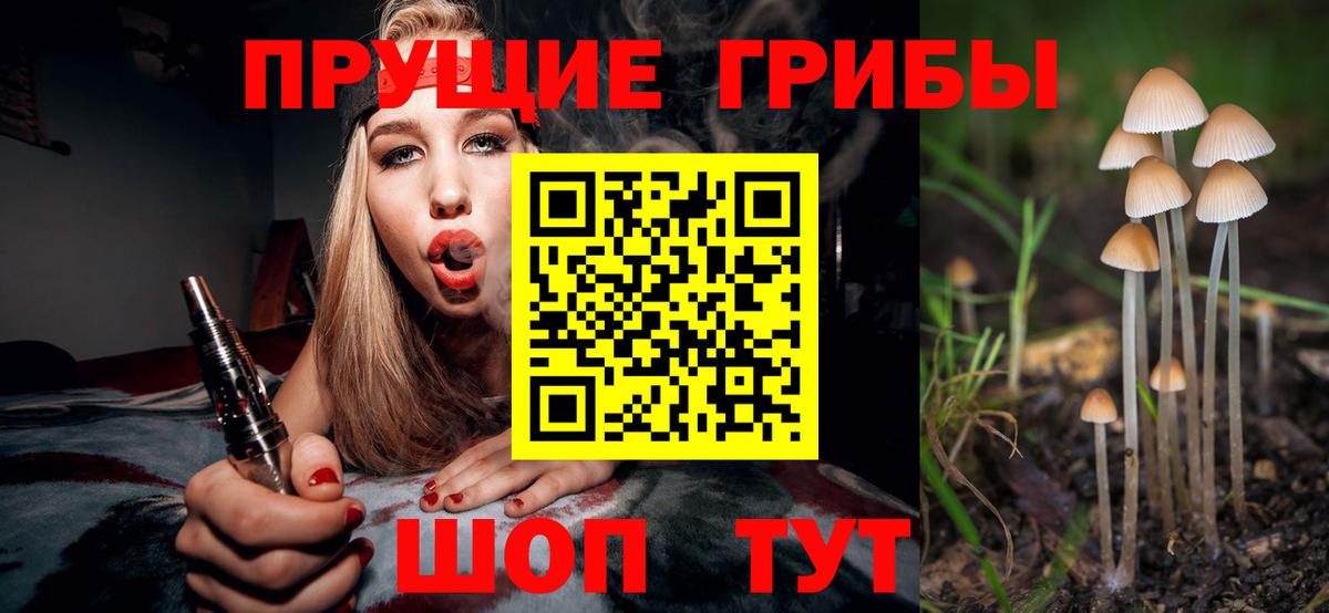 Псилоцибиновые грибы Cubensis  наркошоп  Кореновск  Вход с VPN 